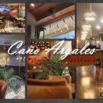 CAFÉ Y TAPAS CAÑO ARGALES (Valladolid) logo