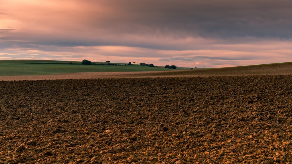 Carrión de los Condes en Palencia, en Castilla y León