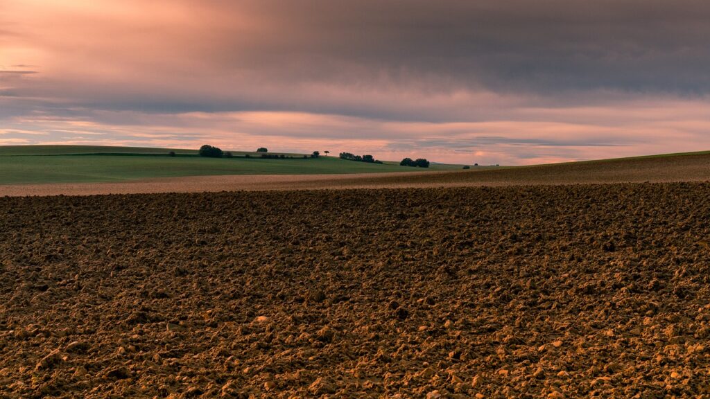 Castilla y León