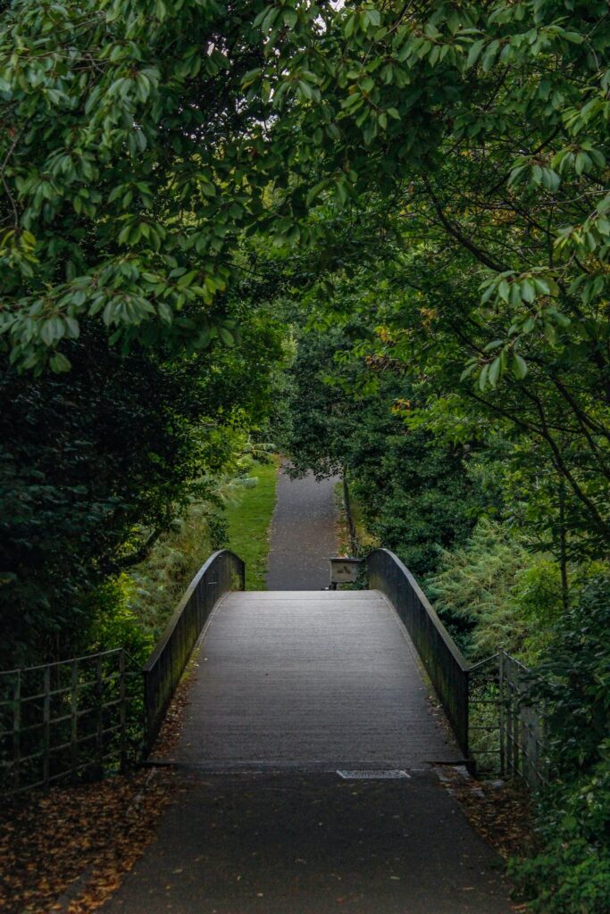 camino de santiago del norte