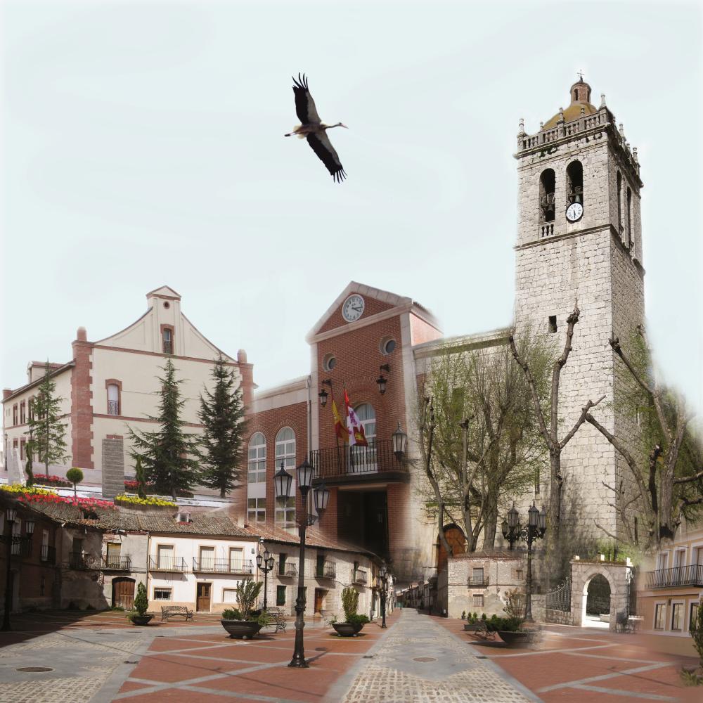Aldeamayor de san martín