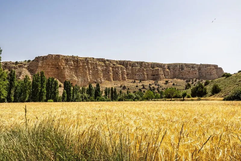Hoces del río Riaza
