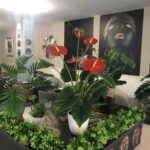 TULSI INDIAN RESTAURANTE (Valladolid) decoracion