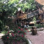 HACIENDA LAS CAVAS (Olmedo) flores